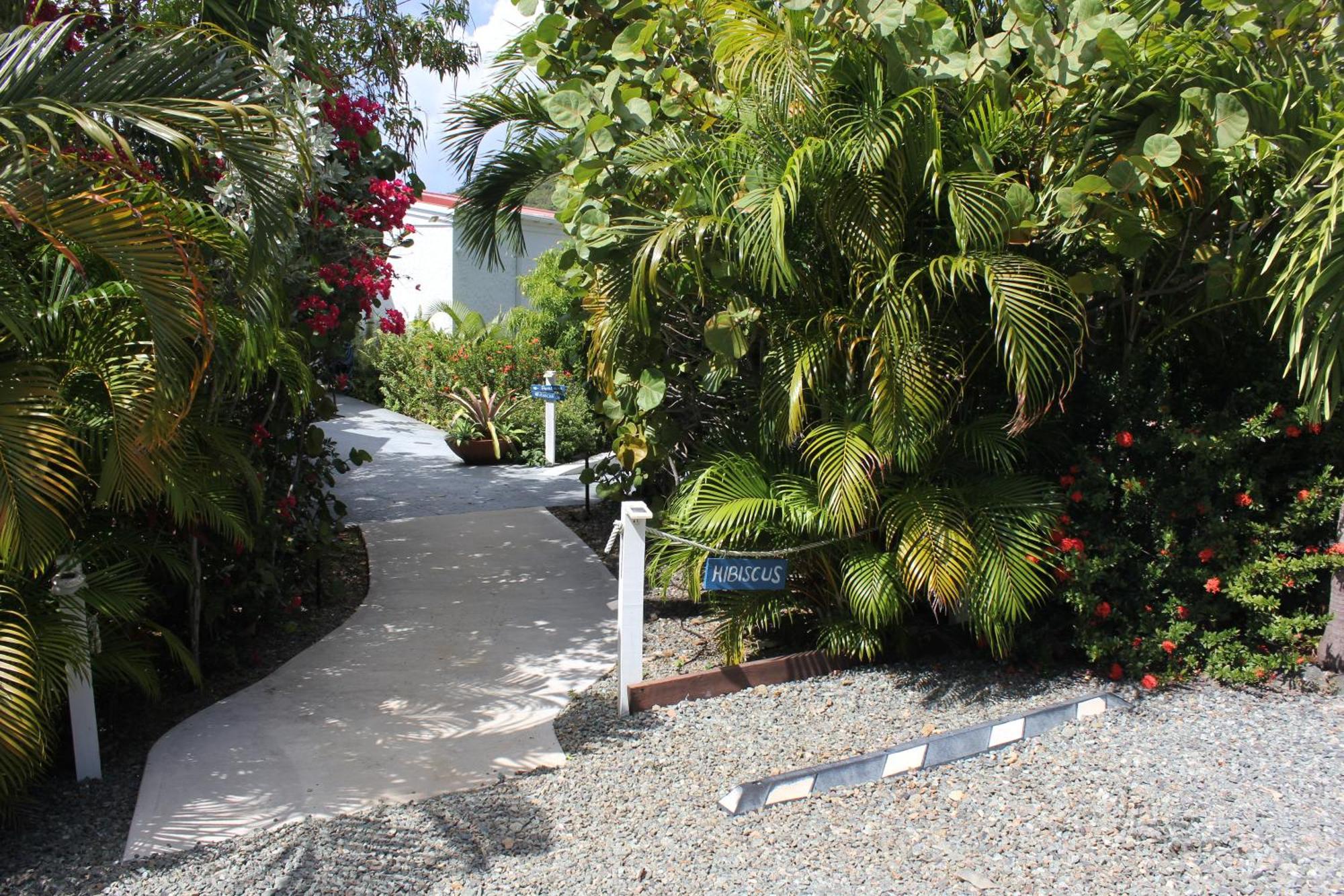 Fantastic Penthouse At Sunset Serenade Suites Cruz Bay المظهر الخارجي الصورة